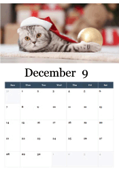 Holiday cookies December calendar