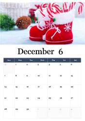 Frost-covered trees December calendar