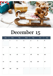 Christmas cat December calendar