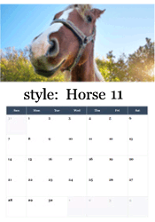 Friendly horse face close-up with decorative halter