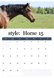 Noble bay horse profile in summer field