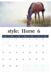 Bay horse drinking from misty morning water