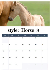 Adorable palomino foal portrait with soft features