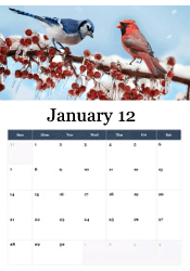 Winter birds January calendar