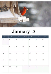 Cardinal in snow January calendar