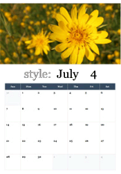 Summer wildflower July calendar