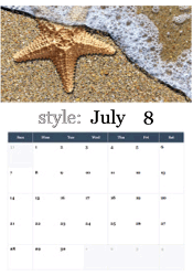 Beach starfish summer July calendar