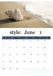 Seashell on sandy beach June calendar