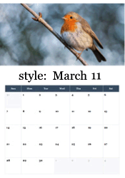 Orange-breasted robin perched on branch - spring bird March calendar