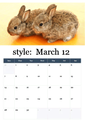Two fluffy baby bunnies together - adorable Easter bunny March calendar