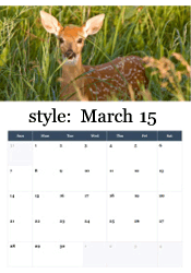 Young spotted fawn in tall grass - spring baby animal March calendar