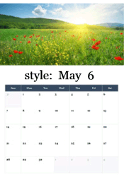 Sunny spring meadow with red poppies and wildflowers - Memorial Day remembrance May calendar