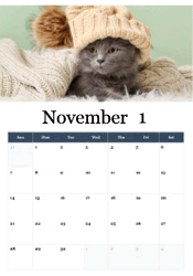 Cozy cat in knit winter hat November calendar