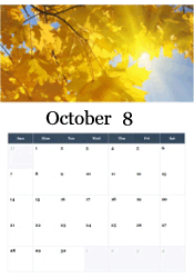 Golden maple leaves in sunlight October calendar