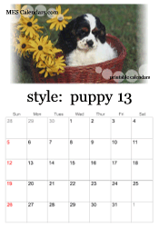 full year puppy photo calendar