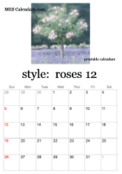 December rose calendar