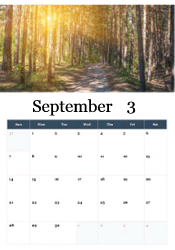 Autumn forest path calendar