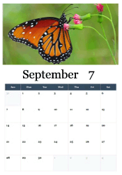 Monarch butterfly migration calendar