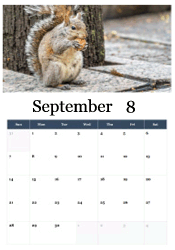 Squirrel gathering food autumn calendar